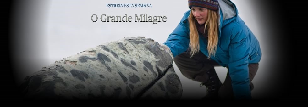 Cartaz do Filme