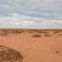 O início do deserto, aqui salpicado por tufos