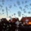 FRANÇA. 01.02.2012. Uma janela em flocos de neve, em Godewaersvelde.