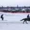 EUA, 28.01.2012. Durante os campeonatos mundiais de Skijoring (precisamente, como se vê, uma modalidade em que o esquiador é puxado por um cavalo)