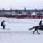 EUA, 28.01.2012. Durante os campeonatos mundiais de Skijoring (precisamente, como se vê, uma modalidade em que o esquiador é puxado por um cavalo) 