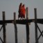 BIRMÂNIA/MYANMAR, 05.02.2012. O passeio de dois monges budistas, a cruazar o lago Taungthaman em Amarapura. É a maior ponte pedestre em madeira (teca) do mundo com 1300 metros.