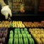 PORTO. Chocolataria Equador. Paulo Pimenta