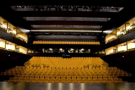 centro cultural e congressos caldas rainha