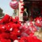 IRAQUE. As promoções de São Valentim de uma loja de Bagdad 