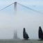 EUA, 22.02.2012. Dois AC 45, do vencedor da America's Cup, Oracle Racing, a navegar perto da Golden Gate Bridge de São Francisco.
