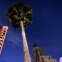 Regressa-se sempre à Hollywood Boulevard. Momento em que começava a ser iluminada para o seu esplendor nocturno.