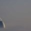 O Burj Al Arab quase desaparecido sob forte nevoeiro. 