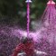 A man drenches himself in coloured water under an artificial fountain during celebrations of Holi, also known as the festival of colours, in the southern Indian city of Hyderabad March 8, 2012. The traditional event heralds the beginning of spring and is celebrated across the country. REUTERS/Krishnendu Halder (INDIA - Tags: