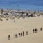 Praias Urbanas: Rocha