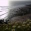 Praias de Uso Desportivo: Ribeira d' Ilhas
