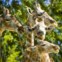 O Zoo de Lisboa sugere um dia selvagem