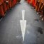 TAILÂNDIA, 24.03.2012. Na Chinatown de Banguecoque, durante uma cerimónia em que participaram dezenas de milhares de monges budistas. 