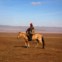 O cavalo pode ser o melhor amigo do mongol  