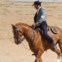 O cavalo está também em destaque