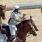 Provas desportivas e concursos com animais são constantes