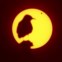 SUÉCIA, 06.06.2012. Uma gaivota observa enquanto Vénus passa frente ao Sol, em Malmo    