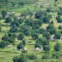 Paisagens culturais de Bassari, Fula e Bedik (Senegal)