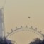 Com a London Eye em primeiro plano (Dezembro 2011)