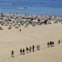 Praia da Rocha, 2.ª no top europeu, 5.ª no top mundial
