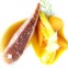 Peito de pata de Barberie escalfado e assado, com cenouras da Quinta do Poial glaceadas com galanga, puré cenoura-toranja e molho do assado, o prato do chef Vincent Farges