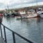 São Miguel. Vila Franca do Campo