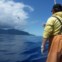 São Miguel.Na pesca do atum no Ponta dos Mosteiros da Caloura ao largo do Nordeste da ilha