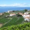 São Jorge. Fajã dos Vimes