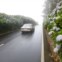 Terceira. Na estrada para as Doze Ribeiras 