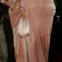 Barbra Streisand chegou aos Emmys 2004 com ar de quem tinha acabado de acordar
