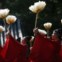 COREIA DO SUL, 24/09/2012. Estudantes universitários, licenciados em dança tradicional coreana, em trajes tradicionais durante uma cerimónia num templo da Universidade Sungkyunkwan em Seul