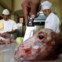 Os cozinheiros do Solar de las Cabecitas, em La Paz, Bolívia, preparam a especialidade do restaurante:   cabeça de ovelha. Depois de cozida, é servida numa cama de arroz. O presidente boliviano, Evo Morales, é um dos fregueses habituais. 