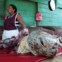   Os esforços para pôr fim à caça de tartarugas (e/ou dos seus ovos) prossegue pelo mundo. Mas a sopa de   tartaruga e a sua carne continuam a ser um alimento desejado em várias partes do mundo. Aqui, uma mulher   Miskito, grupo indígena da Nicarágua (e Honduras), vende carne de tartaruga em Puerto Cabezas, na costa caribenha nicaraguense. 