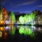 ESCÓCIA, 4.10.2012. Celebra-se o 10.º aniversário da Floresta Encantada com um festival de luz e som. Árvores iluminadas no lago Dunmore, nos bosques de Faskally (Pitlochry)  
