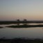 PAQUISTÃO, 9.10.2012. A conduzir os camelos ao pôr-do-sol em Carachi 