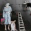 REINO UNIDO, 9.10.2012. A rainha em versão arte de rua em Londres  