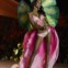 Jasmine Tookes no desfile da Victoria's Secret