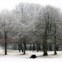 BÉLGICA, 2.12.2012. Voo de pássaro numa Bruxelas a receber o seu primeiro nevão 