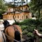 Parques de Sintra - Monte da Lua é candidata a melhor empresa de conservação do ambiente