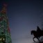 Em Madrid, a árvore de Natal na Puerta del Sol 