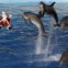 Um Pai Natal que, em vez de renas, tem golfinhos. Em Antibes, França. 