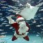 Já se sabe que não há aquário que passe sem o seu Pai Natal - este é no  Sunshrie de Tóquio, Japão 