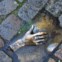 AMESTERDÃO. Uma escultura em bronze na calçada do