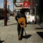 SÃO FRANCISCO. Um músico de rua procura lugar para a sua arte