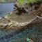 ILHA KOMODO, INDONÉSIA. Um assombroso mundo natural