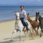 Comporta | Cavalos na Areia