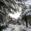 Saint-Lary-Soulan.