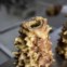 Saint-Lary-Soulan. O gâteau à la broche, um ícone doce desta parte dos Pirenéus