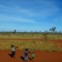 No deserto a norte de Alice Springs, um grupo de aborígenes acena para o comboio 