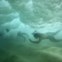 EUA, 20.03.2013. Mergulho sob a onda  em Oahu, Havai 